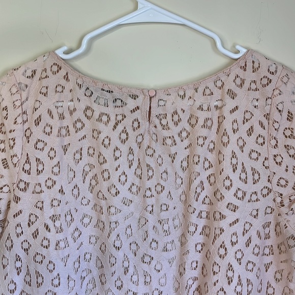 Ann Taylor LOFT Blush Pink Crocheted Short Sleeve Shirt Size L Petite - Picture 6 of 6